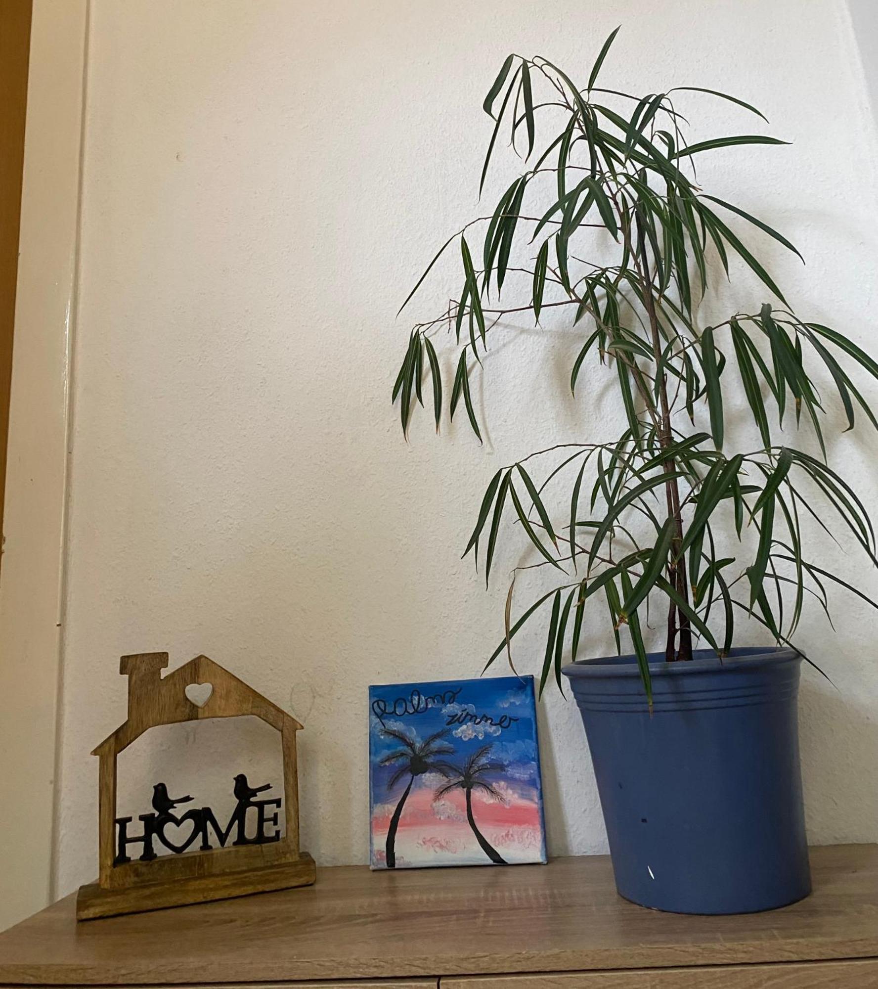 Palms Zimmer Frechen Eksteriør billede